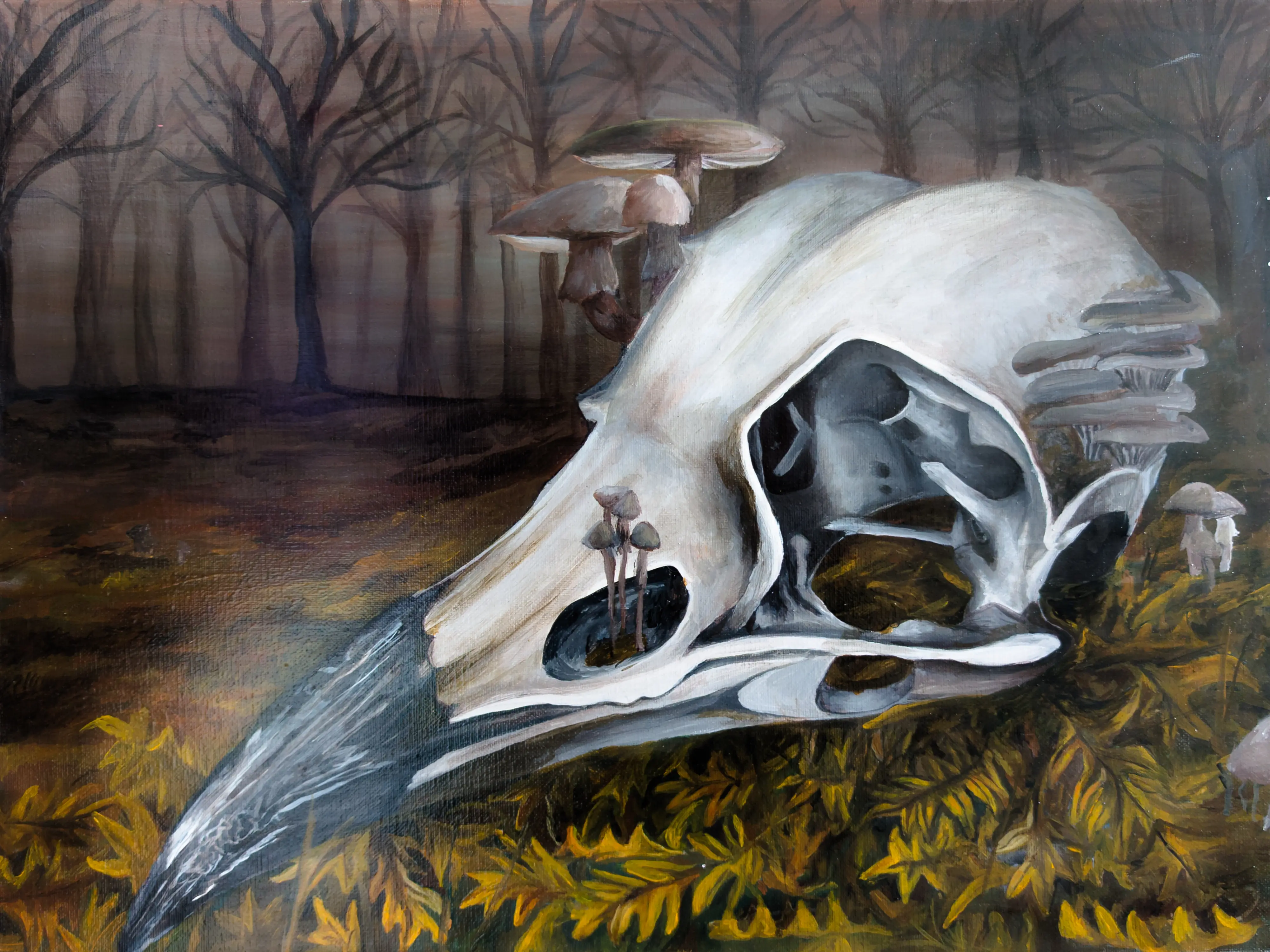 In Echoes of the Forest, the natural world is transformed into a spectral symphony of life, death, and quiet reclamation.
